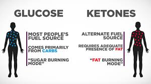 What is ketosis?